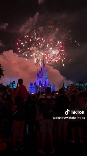 Fourth of July Fireworks at Magic Kingdom Celebration