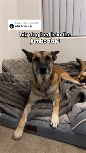 Jumbo Dog Bed for Ultimate Comfort