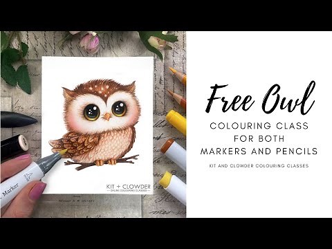 Coloring Tutorial: Owls for Markers + Pencils (inc. Copic, Ohuhu + more)