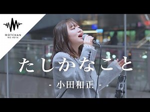 【涙腺崩壊】話題の歌声を聞いた瞬間、鳥肌が半端なかった!! たしかなこと / 小田和正（Covered By 和佳奈）
