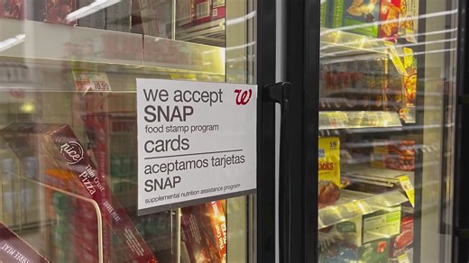Government shutdown ends, but food pantry demand remains high in Chicagoland - WGN News at 9