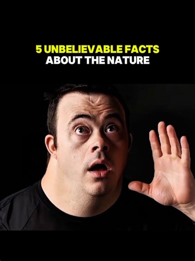 Five unbelievable fact about the nature.😳😲 #interestingfacts #didyouknow #randomfacts #lernontiktok #fypシ
