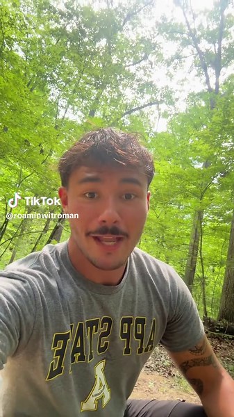 Eastern Box Turtle Care and Habitat Guide