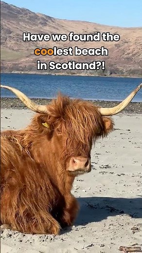 Is this the coo-lest beach in Scotland?
