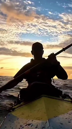￼ Dominica Watersports includes scuba diving, dive training, snorkeling and all other of Dominica’s water related sports including, whale watching, turtle observation, kayaking, tubing and other similar activities. We have all theses amazing activities on our island. If you are a thrill seeker we got the right activities for you! #dominicaelite #dominicafinest #dominica# #dominican #boardsport #longboard #longboardtrick #ocean #surf #surf_shots #surfart #surfboards #surfcity #surfcoast #surfcult