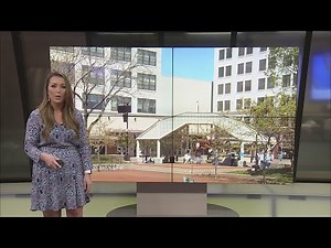 Reopen Springfield rally on the square