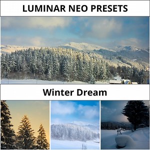 5 Winter Luminar Neo Presets für die Winterlandschaftsbearbeitung | Schnee Fotografie Pack | Digitaler Download - Etsy.de