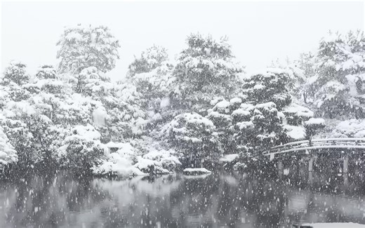 [4K] 京都・雪　2023 Kyoto Snow