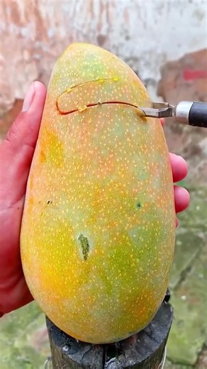 Discover the Surprising Growth of Organic Fruits