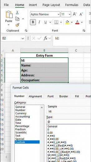 Excel Tips | Entry Form | Majid Mazin