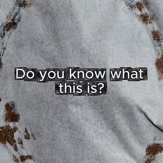 Anthony | Straight out of Alien 👽💥 This 3D printed chestburster is ready to make your cosplay or Halloween outfit unforgettable. Who’s brave enough... | Instagram