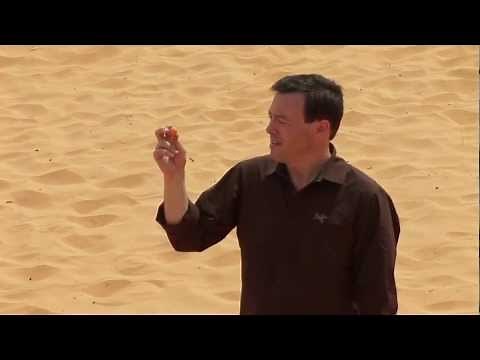 4. Dopamine's Role in Reward (version 2)