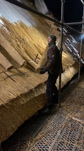 Et lille indblik i vores arbejdsmetode, når vi tækker store flader. #stråtag #tækkemand #lærling #stråtækt #bindingsværk #tækkelauget #sostrupslot #stråtagsinfo | Straataget