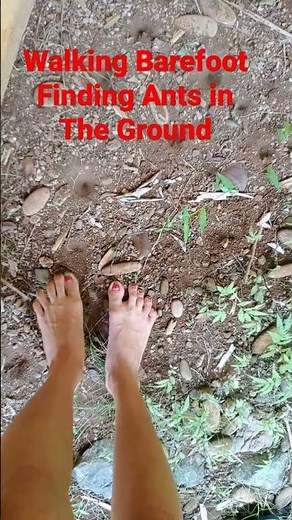 ASMR Cute Feet Walking Barefoot Finding Ants In The Ground #short #Barefoot