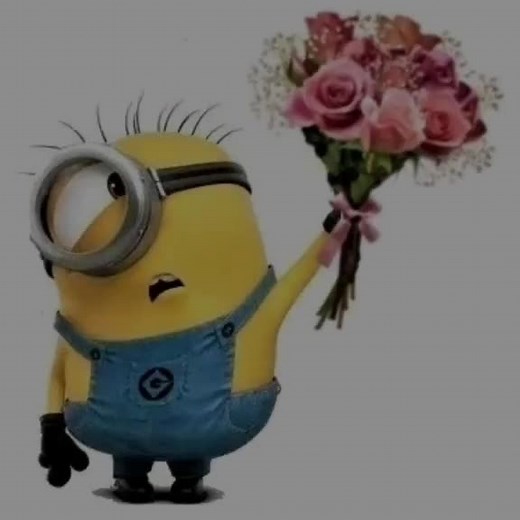 Feel Like Sun on My Skin - A Minion Love Story