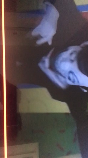 Vidéos de Mr chuckle teeth (@mrchuckleteethveuxdesabo) avec son original - Mr chuckle teeth