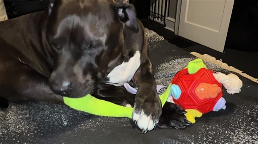 Dee Albright417 on TikTok