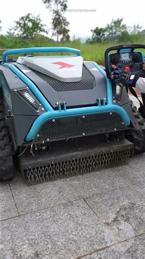 Grass Mower ! #facts #interesting #gardeninghacks #garden