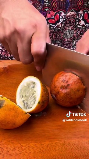 Satisfying jello fruit cake #wildcookbook