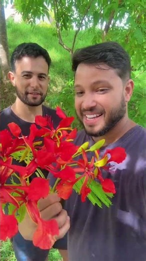 Meu amigo disse que você é a mulher certa para mim ￼