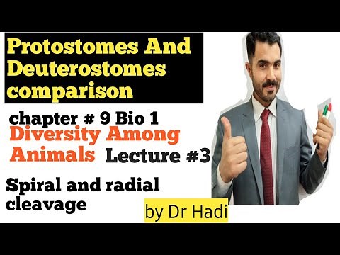 L-5 Detailed explanation of comparison between Protostomes and Deuterostomes