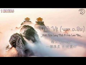 【1 HOURS】Tinh Vệ (Ver 0.8x)- Nhất Khỏa Lang Tinh ft Hứa Lam Tâm | 精卫 - 一颗狼星 ft 许篮心 | Hot Douyin