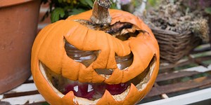 October forecast to be warmer than average across majority of US