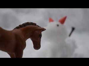 Schleich Schule, Bonusfolge TRAILER🤯 - Schleich Pferde Film (Schleich Video deutsch)