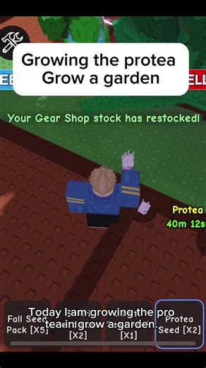 Mastering Protea Growth in Your Garden