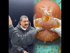 🤣👌👌👌2025 pov Must-Watch Crazy Clips Compilation #humor #fypシ #pov #fyp #foryou 😍😜