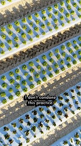 Going Plastic Free 😀🌿👍 #diy #hydroponics #gardening #sustainability | Keep on Growin'