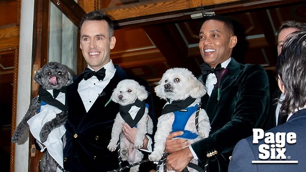Don Lemon marries Tim Malone in NYC wedding attended by famous friends like Matt Lauer, Luann de Lesseps and more