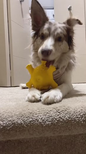 Penny’s new favourite game to play...