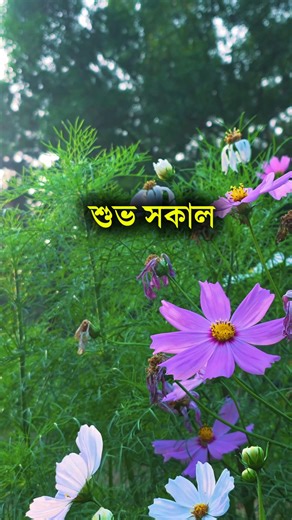 Md Anisul Islam on Instagram