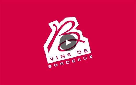 #vinsdebordeaux #jointhebdxcrew #wineparis | Vins de Bordeaux - CIVB