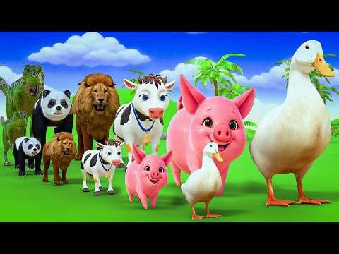 Long Slide Game with Cow Elephant Gorilla Hippopotamus Tiger 3d Animal Game Funny 3d Animals