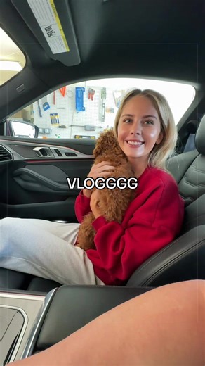 Our Son's Perfect Dog Haircut Experience