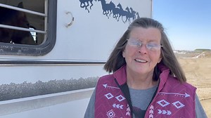 4.3K views · 30 reactions | Are you ready to adopt a young wild horse...