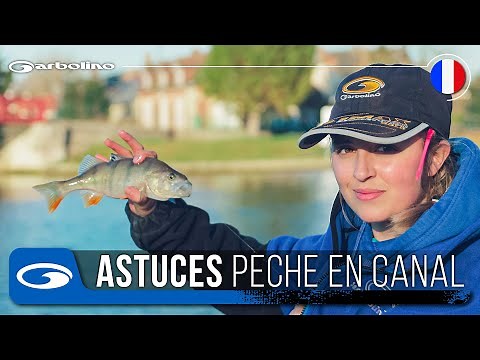 Astuces pour la Pêche au Coup en Canal - Noyon (60)
