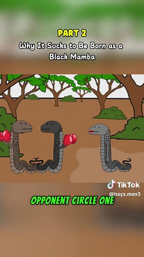 Life Cycle and Struggles of the Black Mamba Snake