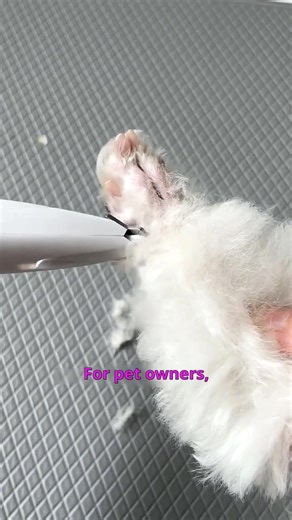 The gentle way to manage shedding. 🌿cwxjg-9#PetGrooming #DogGroomer #CatGrooming #fyp #tiktokshop