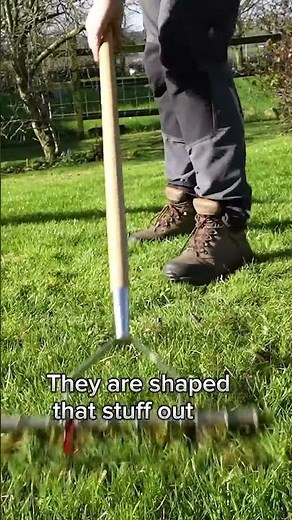 How to scarify a lawn by hand 💪