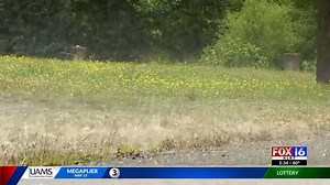The Johnny Cash water tower has sprung a leak. | Consequence