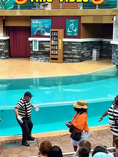 27.5K ................................................................................................................................................................... #fyp #tomthemime #seaworldorlando #usa #funnymoments #tiktokusa #unitedstates