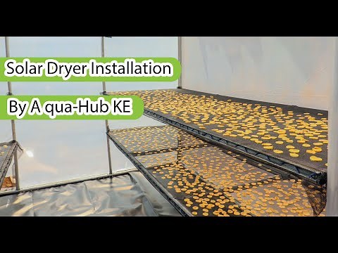How to Dry Food for FREE Using the Sun! DIY Solar Dryer That Saves Money!