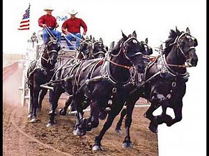 THE PRIEFERT TEXAS THUNDER PERCHERON HITCH