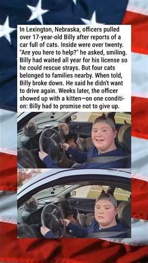 TEEN PULLED OVER FOR... TOO MUCH CATS? 🚓🐱