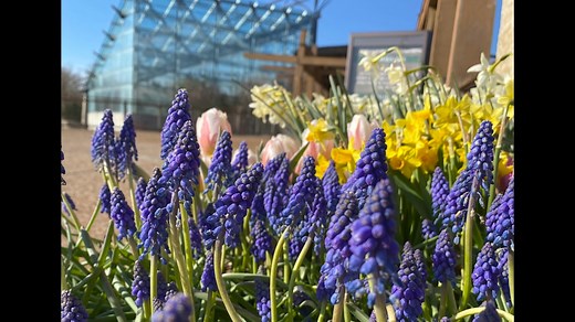 Need a weekend trip to catch the spring colors? Check out our recommendations of four Iowa road trip destinations to catch spring in full bloom! | Iowa Road Trip