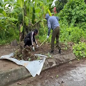 People here have seen the importance of cleaning the sidewalks #abandoned #lawn #cleanup #cleaningmotivation #clean #overgrown #transformation | Clean Up TV