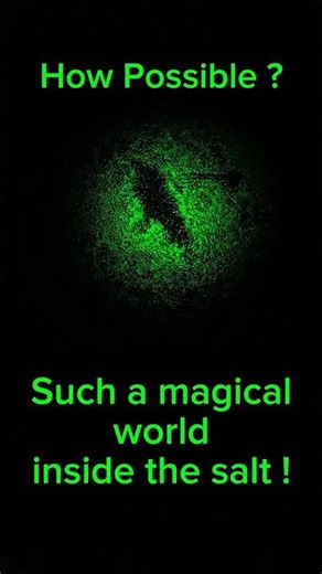 What’s Inside Salt? 499x Zoom Reveal & Dirty Water Secrets! 🧂🔬 #experiment